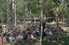 dsc_0037_small.jpg