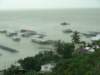 dsc02287_small.jpg