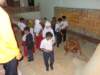 dsc02340_small.jpg