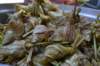 dsc_0232_small.jpg