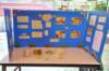 dsc_0249_small.jpg