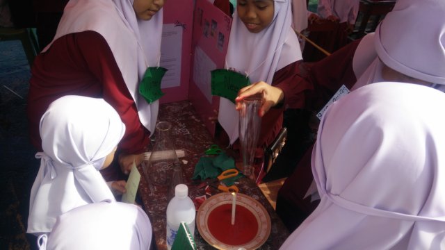 img20151225095205.jpg